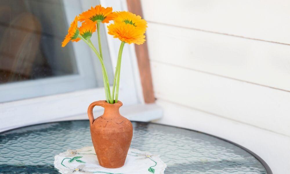 Benefits And Properties Of Marigold That You Should Know